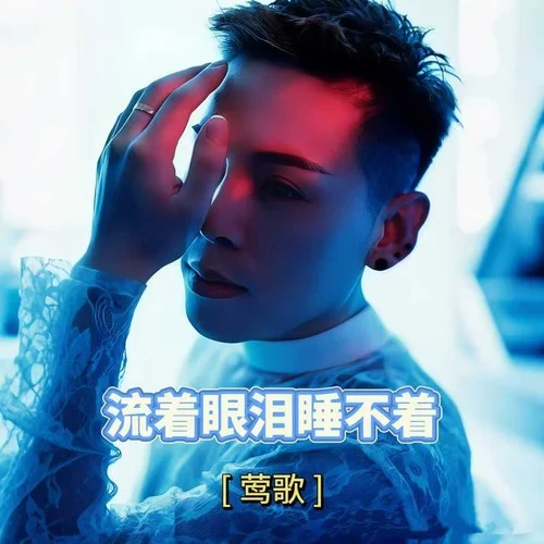 流着眼泪睡不着-莺歌
