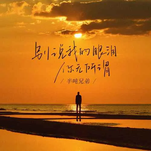 别说我的眼泪你无所谓-半吨兄弟