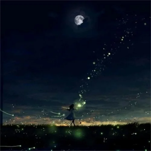 夜、萤火虫和你-AniFace