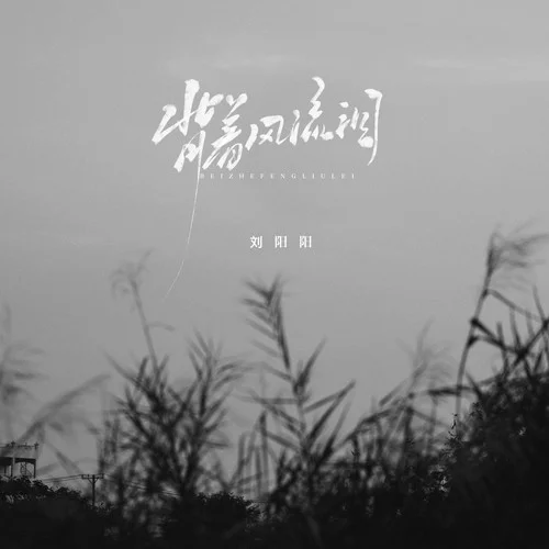 背着风流泪-刘阳阳