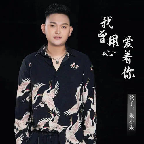 我曾用心爱着你(DJ京仔版)-朱小朱&DJ京仔