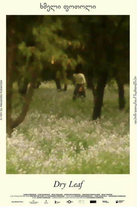 [夸克网盘][百度网盘]德国电影《落叶球》（2025）剧情 豆瓣7.3