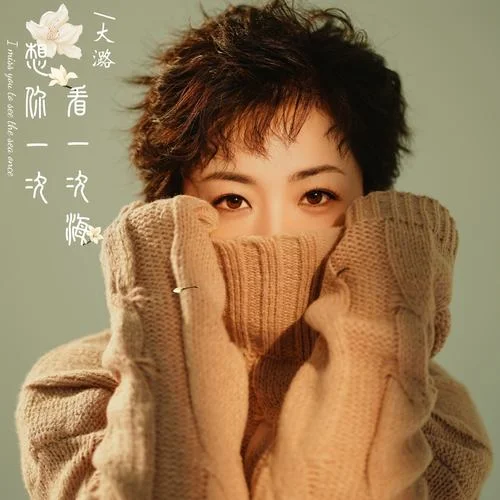 想你一次看一次海-大潞