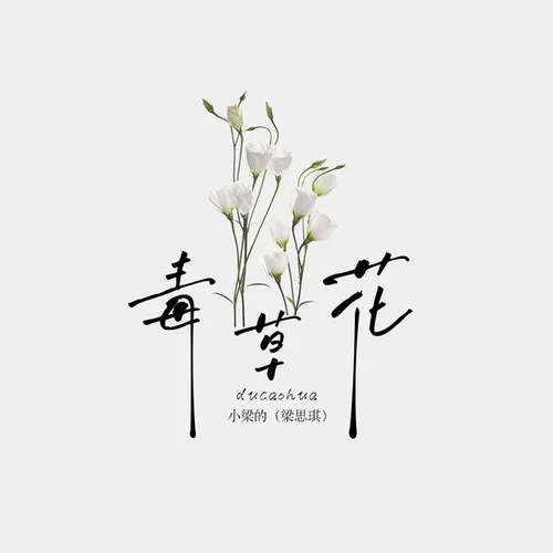 毒草花-小梁的（梁思琪）