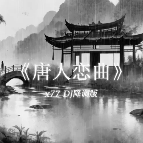 唐人恋曲 (x77 DJ降调版)-DJ嗨嗨嗨