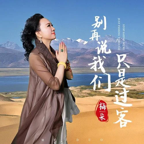 别再说我们只是过客-梅朵