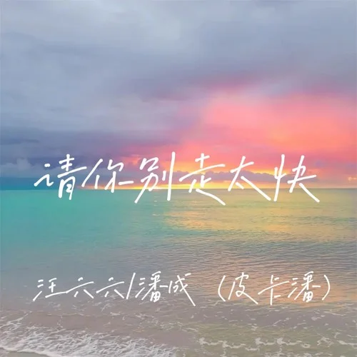 请你别走太快-汪六六&潘成（皮卡潘）