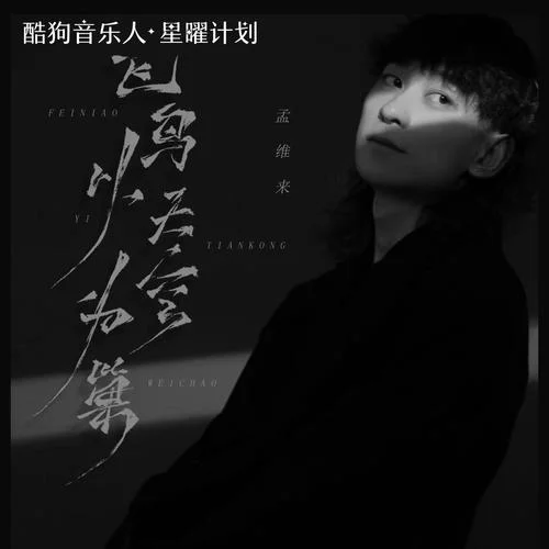 飞鸟以天空为巢-孟维来