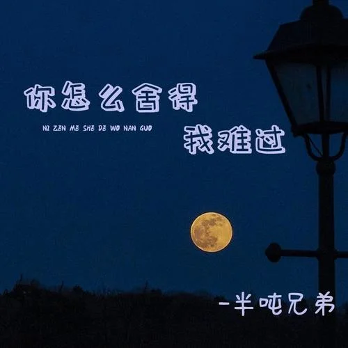 你怎么舍得我难过-半吨兄弟