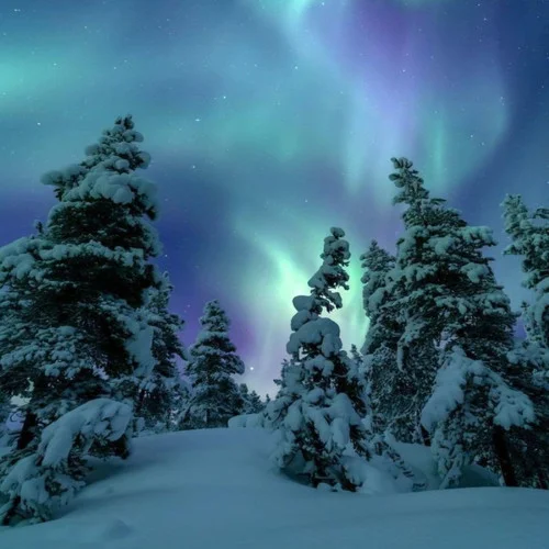 Manasha (Explicit)-Ashreveal