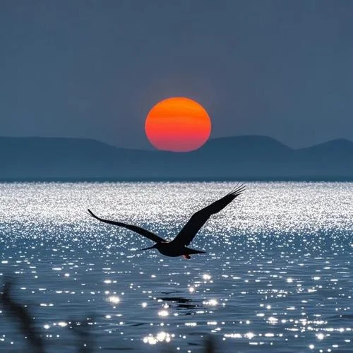 The King (植物大战僵尸)-顾奈Ya