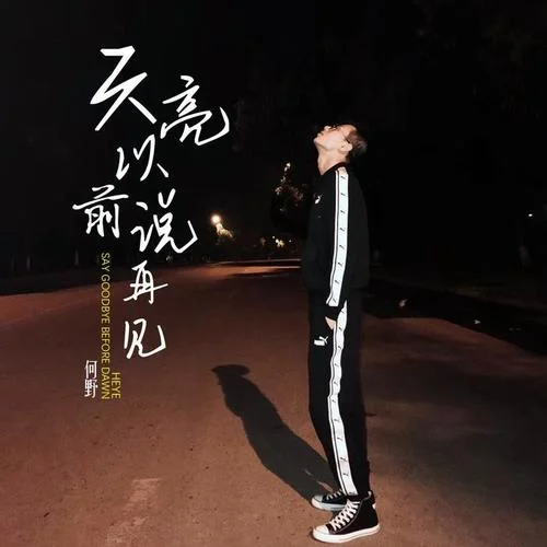 天亮以前说再见-何野