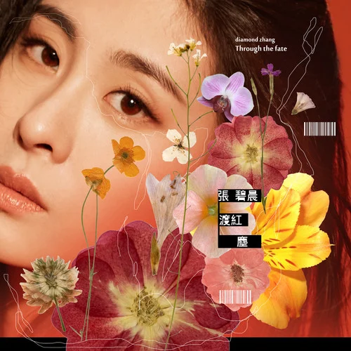 渡红尘-张碧晨