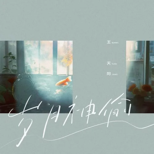 岁月神偷-王天阳