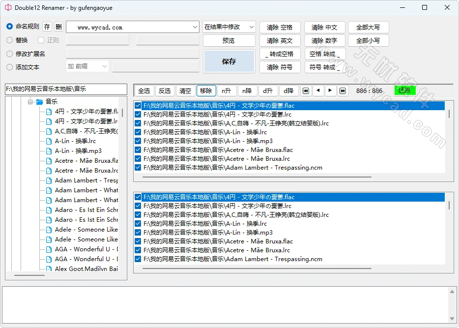 文件重命名工具 | Double12 Renamer v1.3.0.0 中文綠色版