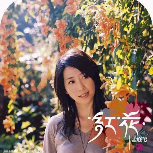 羞答答的玫瑰静悄悄地开-孟庭苇