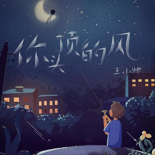 你头顶的风-王小帅