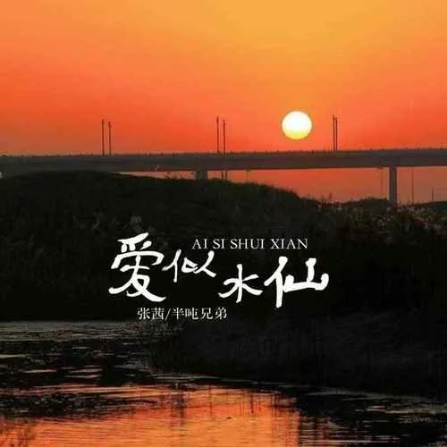爱似水仙(合唱版)-张茜&半吨兄弟