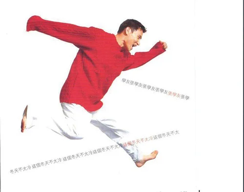 情系半生-张学友