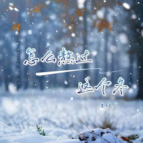 怎么熬过这个冬-贾晓龙