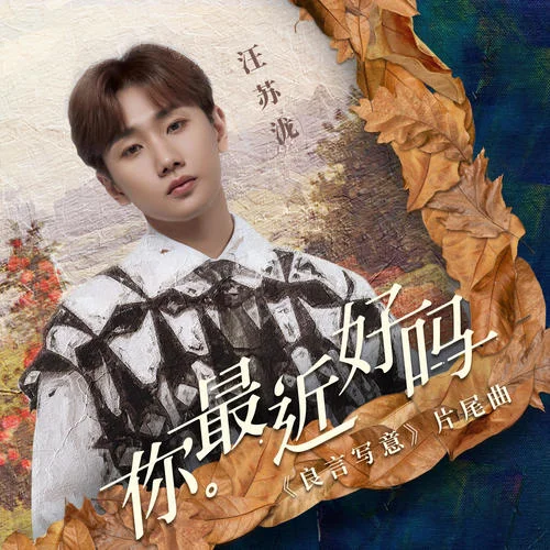 你最近好吗-汪苏泷