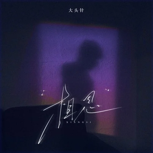 相思（红豆生南国）-大头针