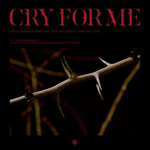 CRY FOR ME-TWICE