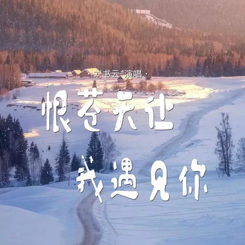 恨苍天让我遇见你-刘书云