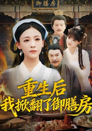 重生后我掀翻了御膳房（69集）杨晨曦&史强