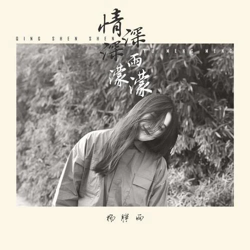情深深雨濛濛-杨胖雨