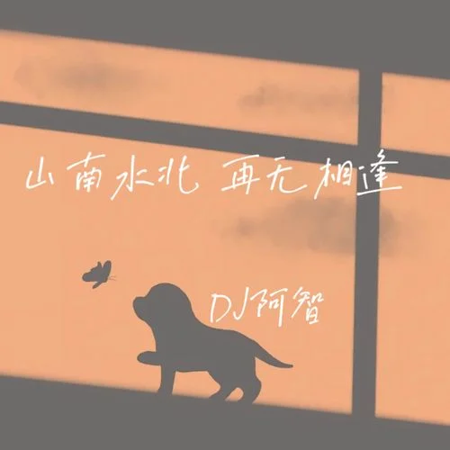 柏林之声-DJ阿智
