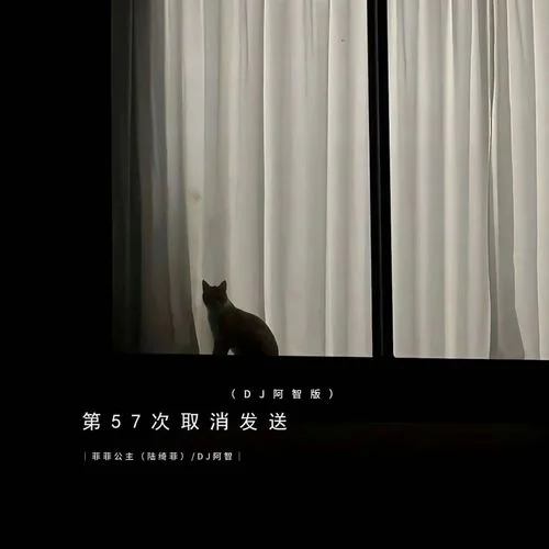 第57次取消发送 (DJ阿智版)-菲菲公主&DJ阿智