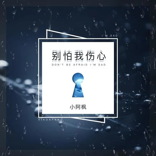 别怕我伤心-小阿枫