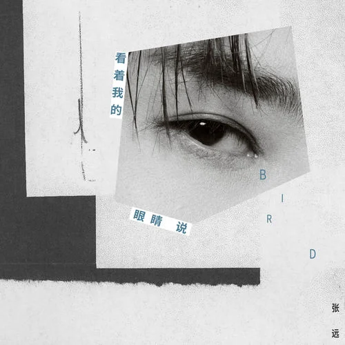 看着我的眼睛说-张远