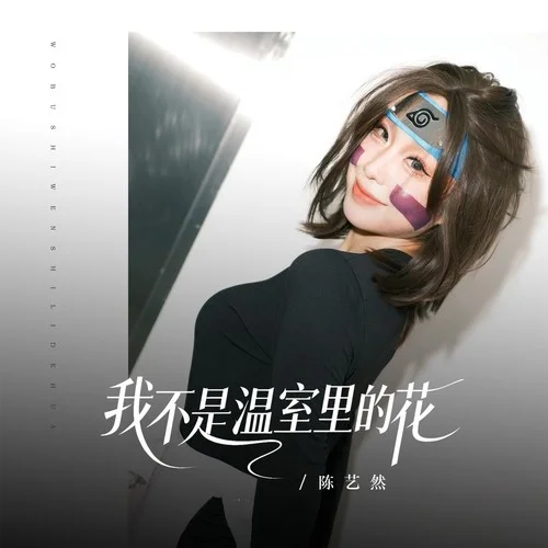 孤身一人闯天下-陈艺然