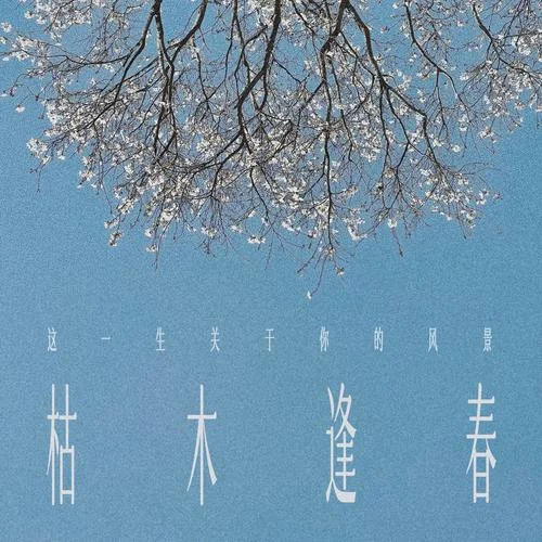 这一生关于你的风景-枯木逢春
