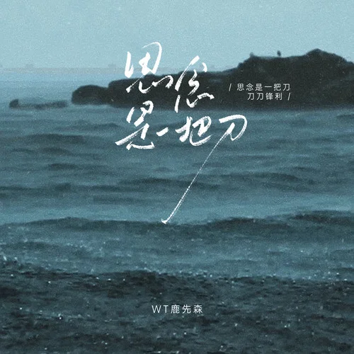 思念是一把刀 (思念是一把刀刀刀锋利)-WT鹿先森