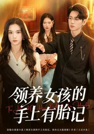 领养女孩的手上有胎记（60集）王宇婧&刘君尧