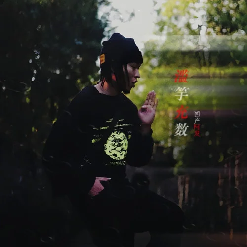 滥竽充数 (都是俗人要咋个脱俗)-国产阿发