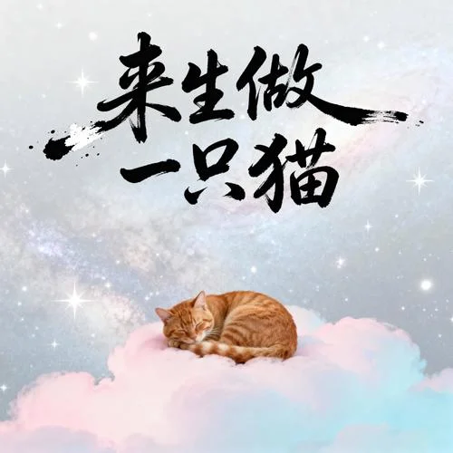 来生做一只猫-空想之喵
