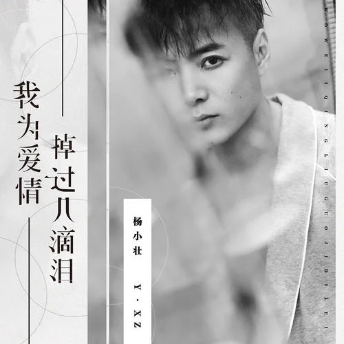 我为爱情掉过几滴泪-杨小壮