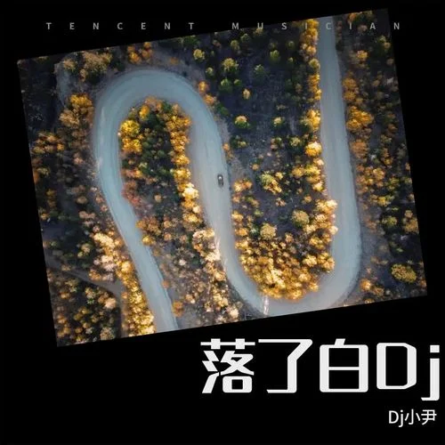 落了白Dj(Remix)-Dj小尹