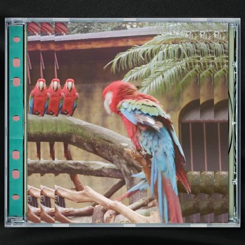 花桥-回春丹乐队