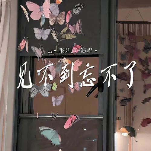 见不到忘不了-张艺迈