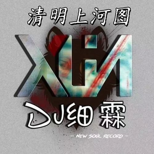 清明上河图(DJ细霖降调版)-DJ细霖