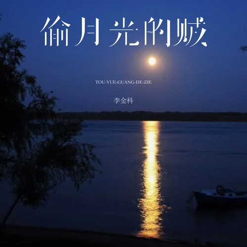 偷月光的贼-李金科