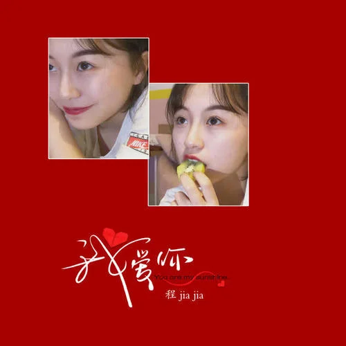 我爱你-程佳佳