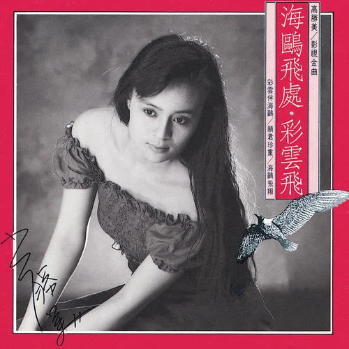 彩云伴海鸥-高胜美