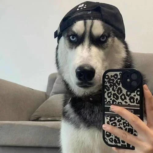 感谢你曾经来过-严煜炜&橙杰瑞