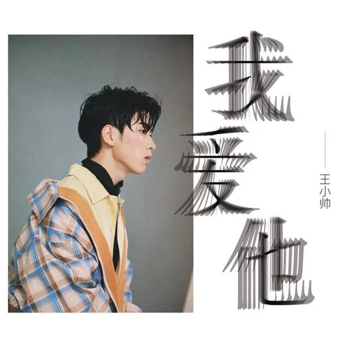 我爱他-王小帅